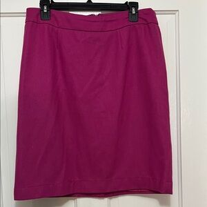 Elegant Pink Wool Women's Skirt from Chadwick’s